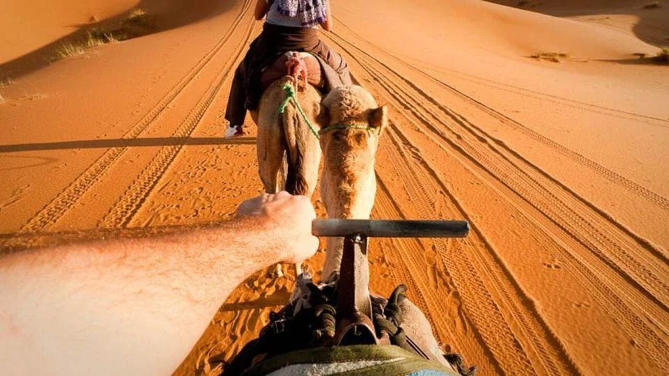 2-days-sahara-desert-tour-to-zagora-from-agadir-taghazout