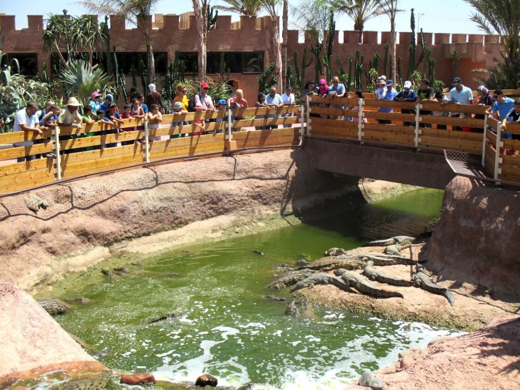 Crocoparc-Agadir-bassins-crocodiles-min