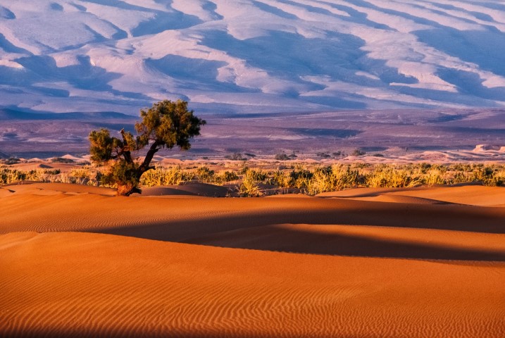 Morocco-berbers-roaming-Erg-Chigaga-dunes-Petit