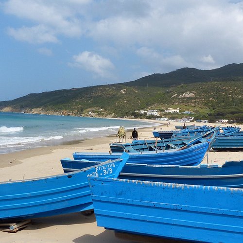 dalia-beach – Copie
