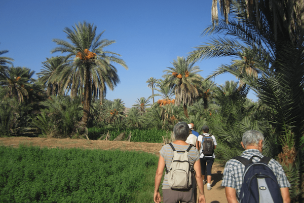 tiout-taroudant-tip-from-agadir-and-taghazout