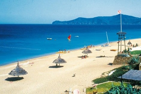 plagesaidia_191680544_334057076