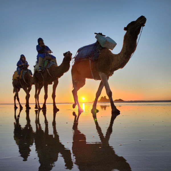 camel-ride-Agadir-tour